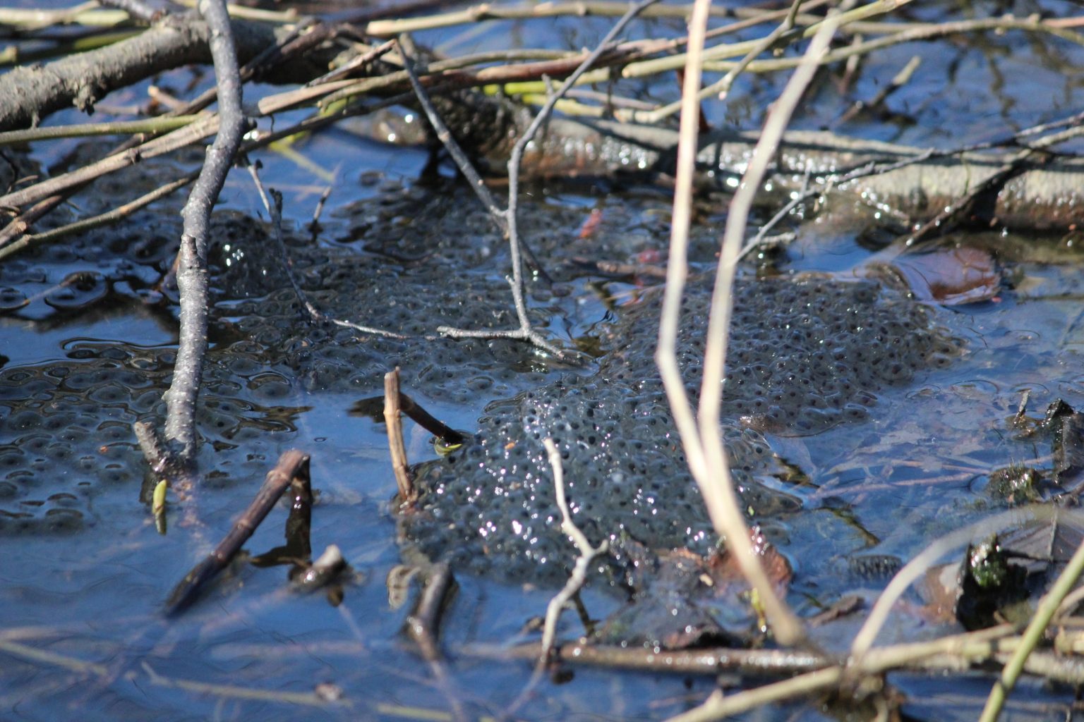 Valokuvaaja: Aila Paija Valokuvaaja: Aila Paija
