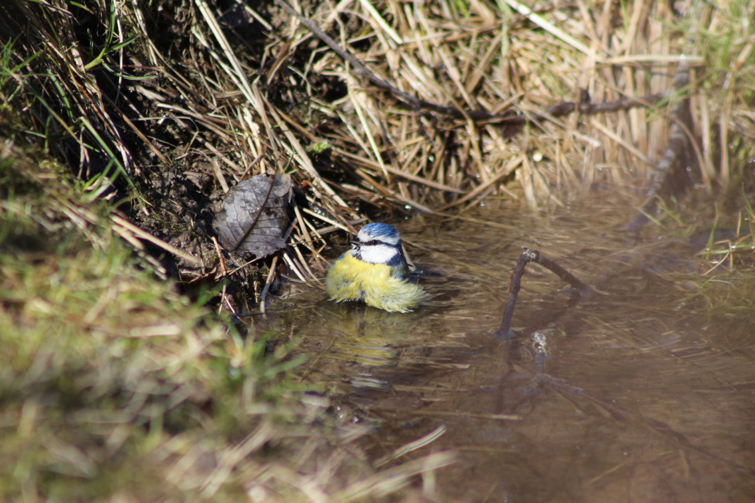 Valokuvaaja: Terhi Pöntinen