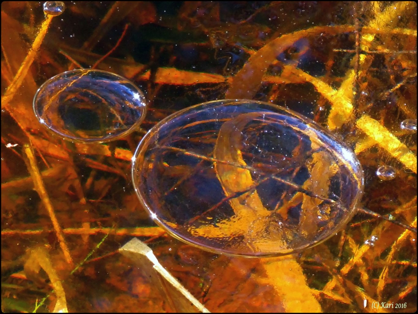 Valokuvaaja: Kari Saarinen Valokuvaaja: Kari Saarinen