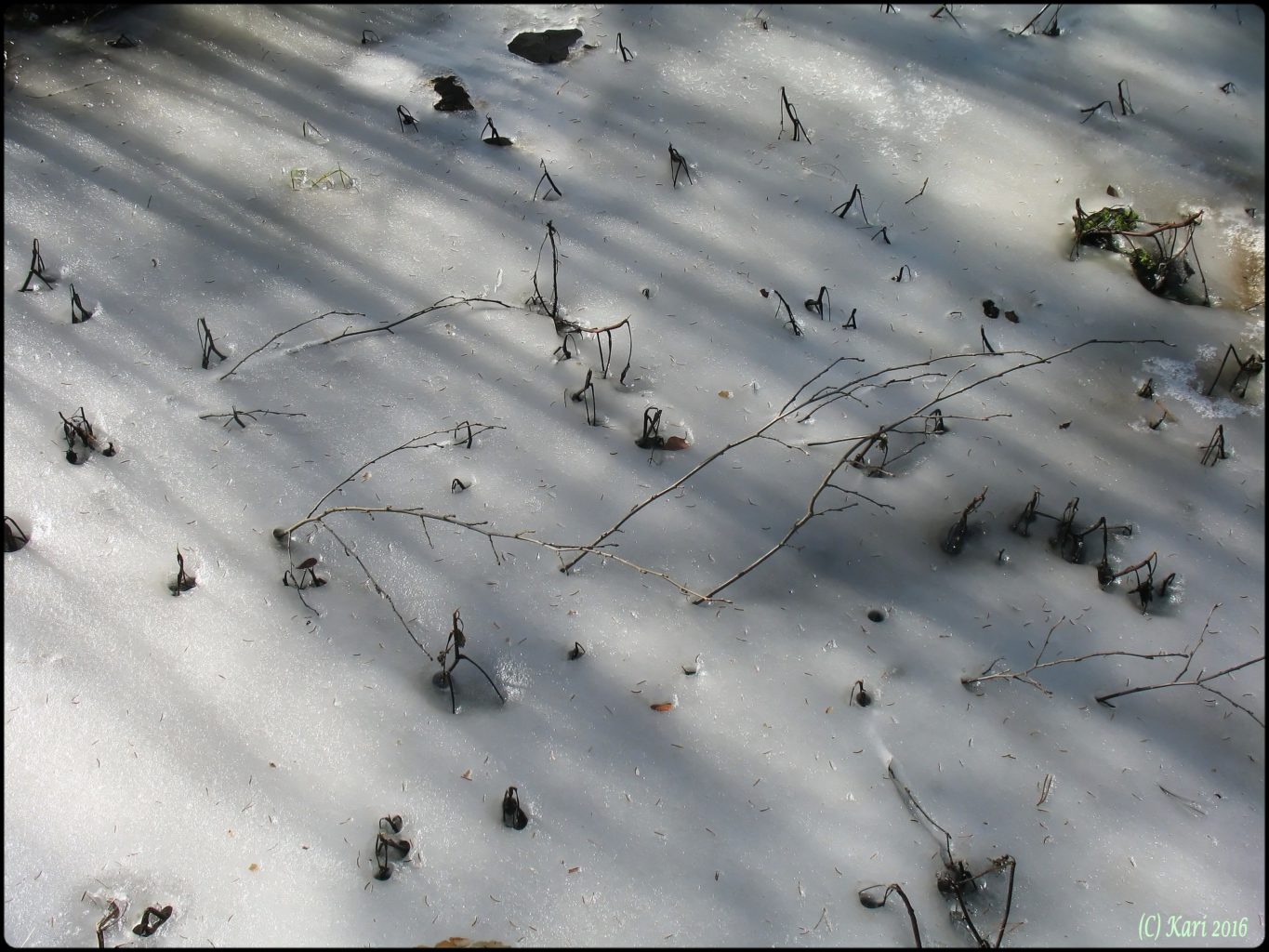 Valokuvaaja: Kari Saarinen Valokuvaaja: Kari Saarinen