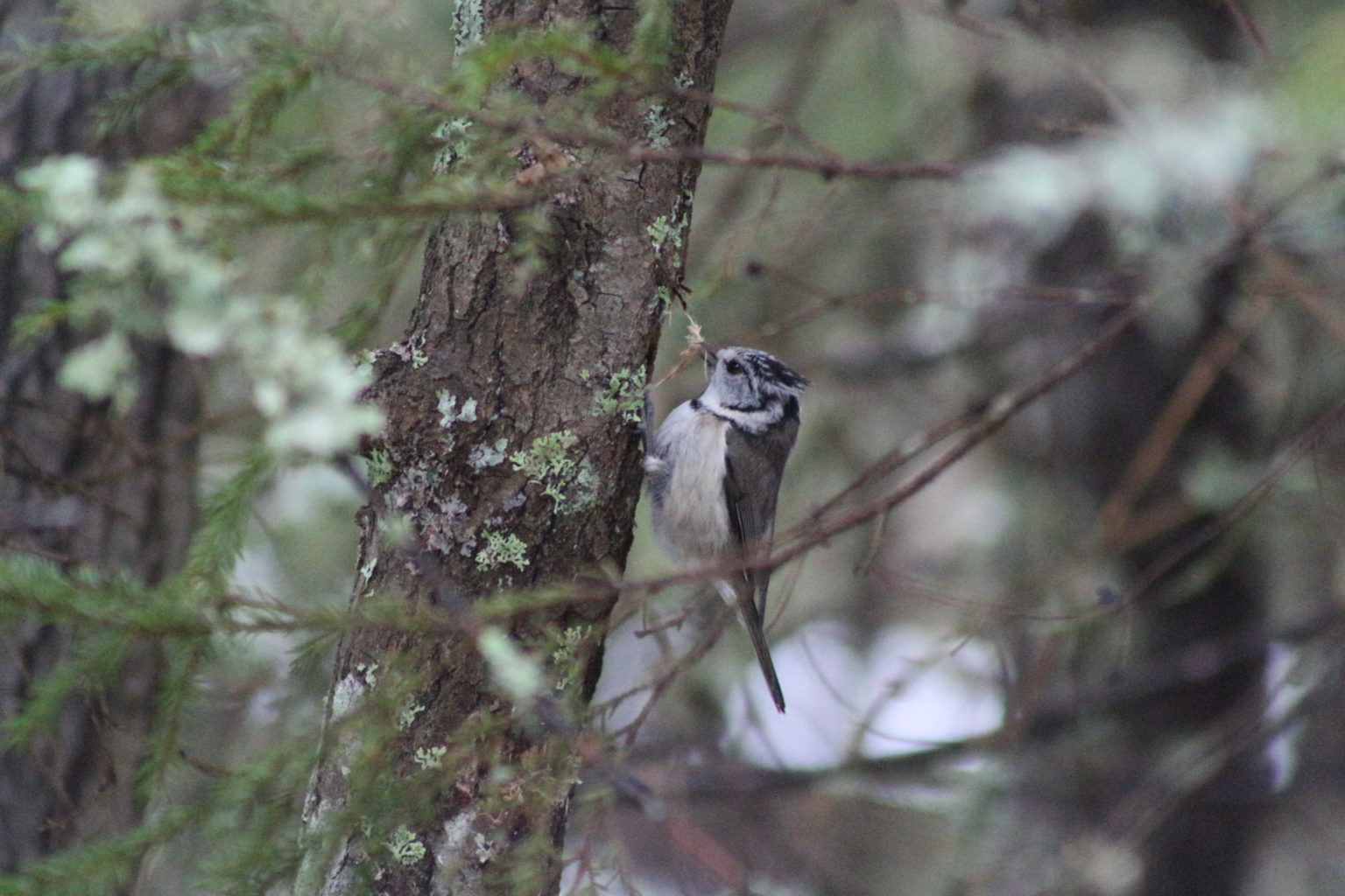 Valokuvaaja: Terhi Pöntinen