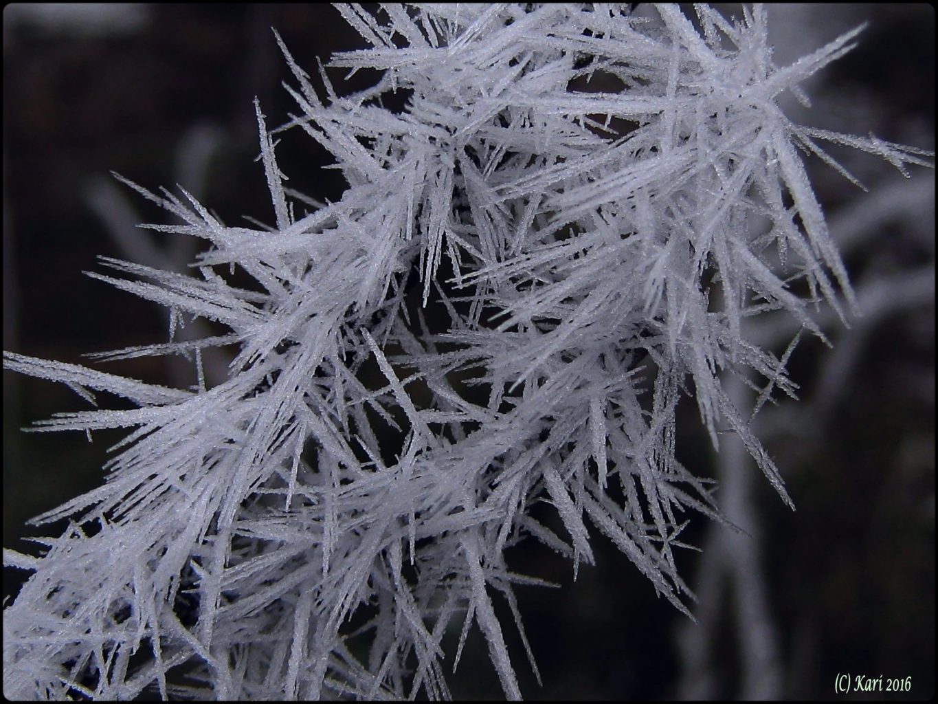 Valokuvaaja: Kari Saarinen