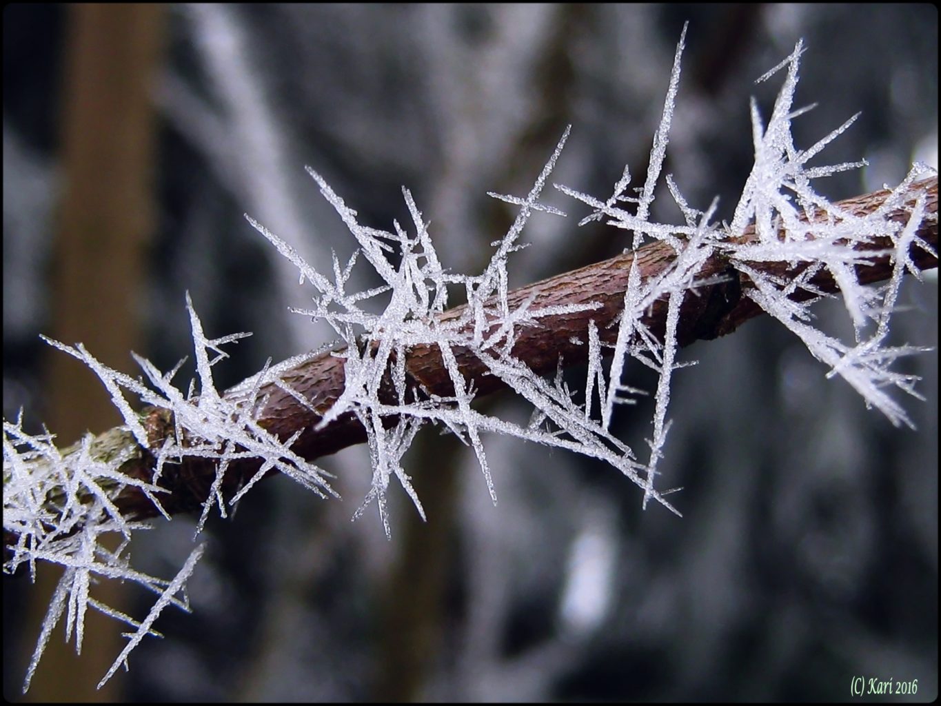 Valokuvaaja: Kari Saarinen