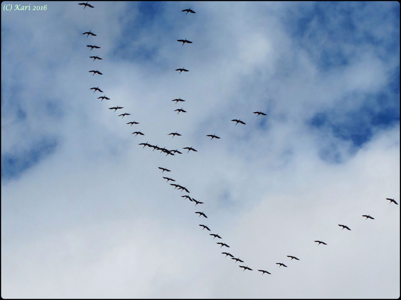 Valokuvaaja: Kari Saarinen