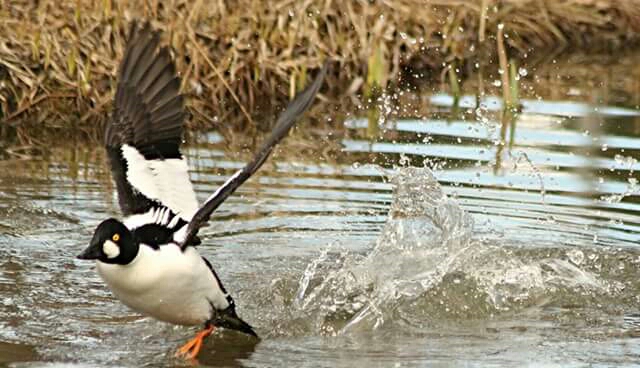 Valokuvaaja: Miia Pesu