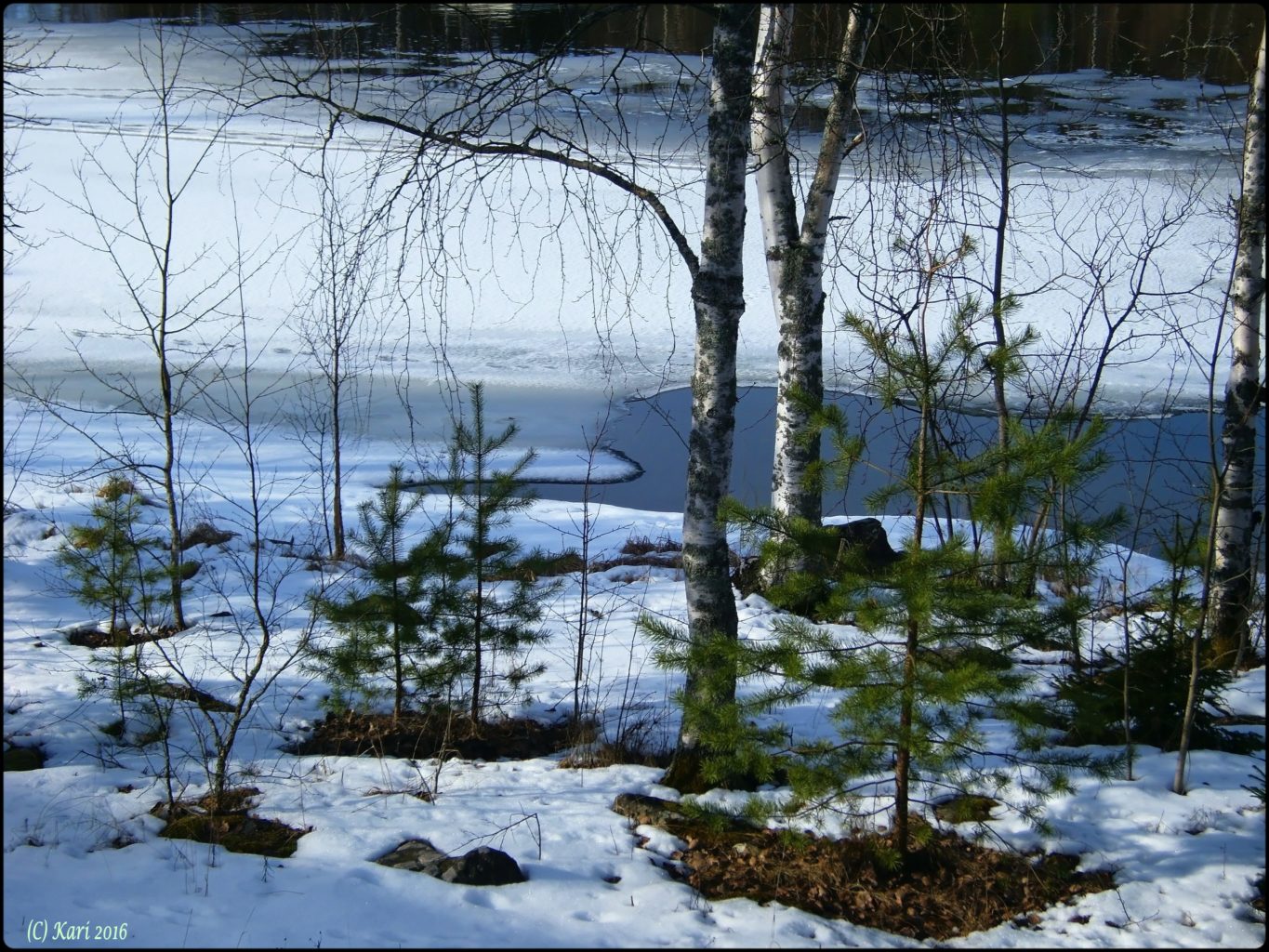 Valokuvaaja: Kari Saarinen