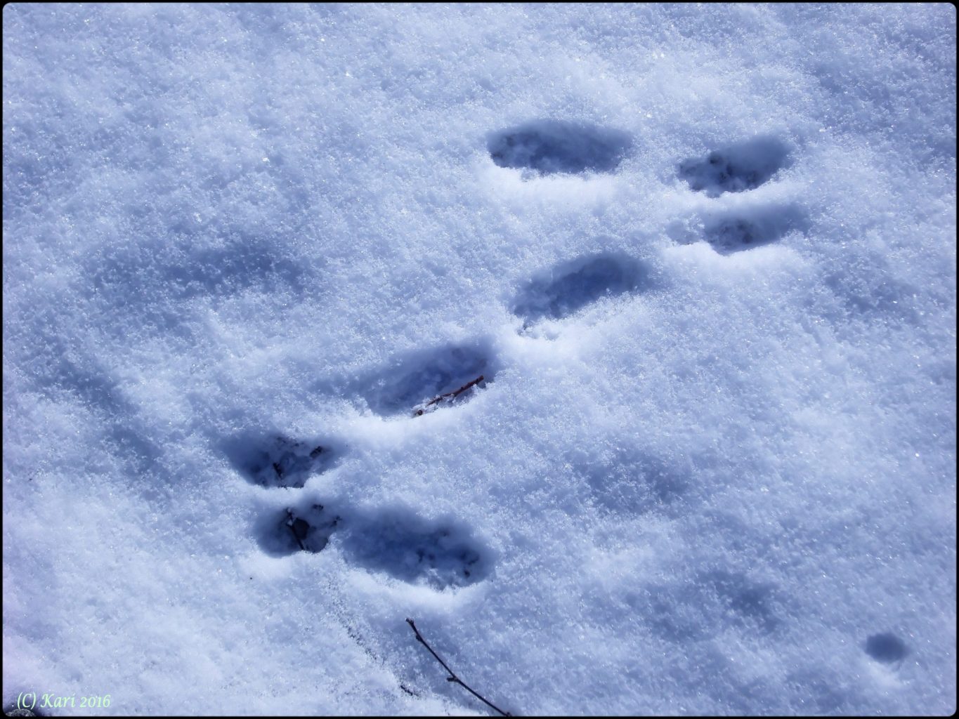 Valokuvaaja: Kari Saarinen