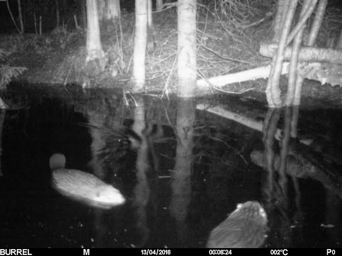 Valokuvaaja: Hannu Rissanen