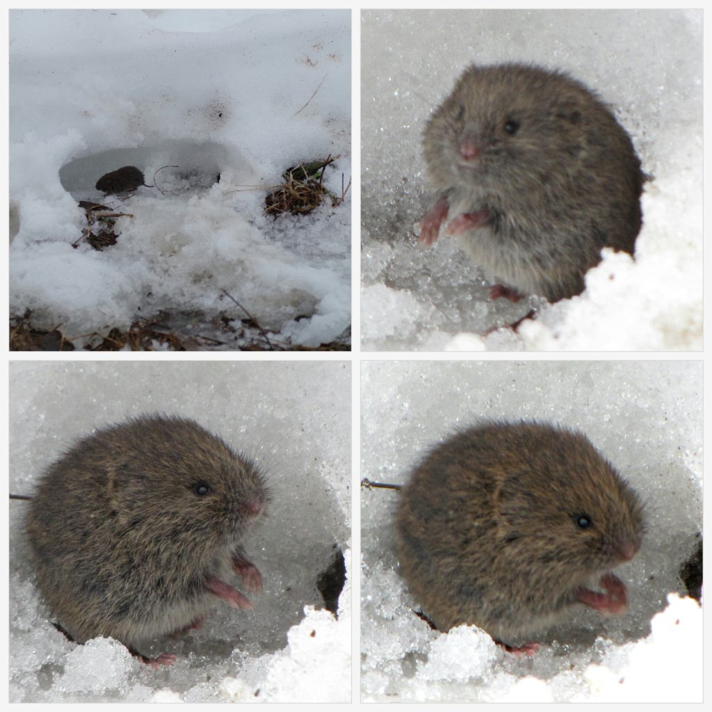 Valokuvaaja: TUULA MAKKONEN