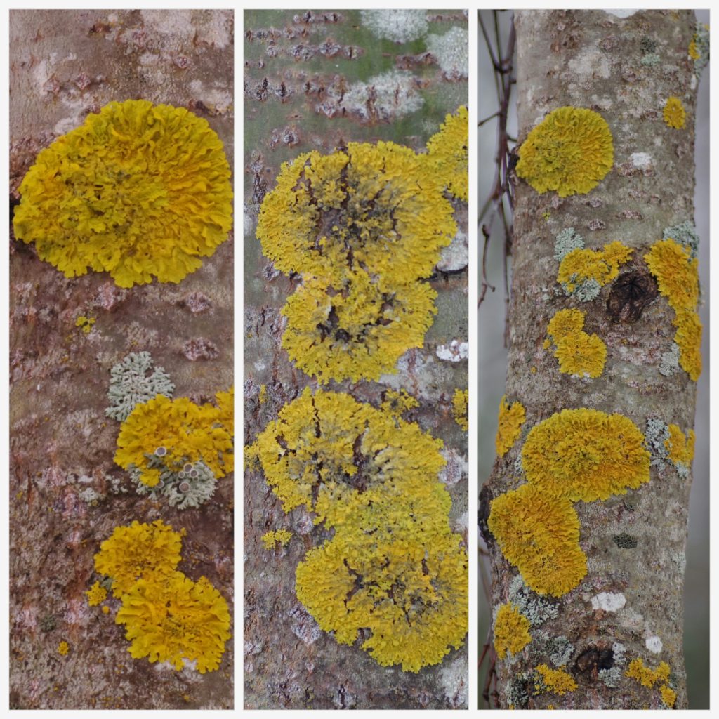 Valokuvaaja: Tuula Makkonen