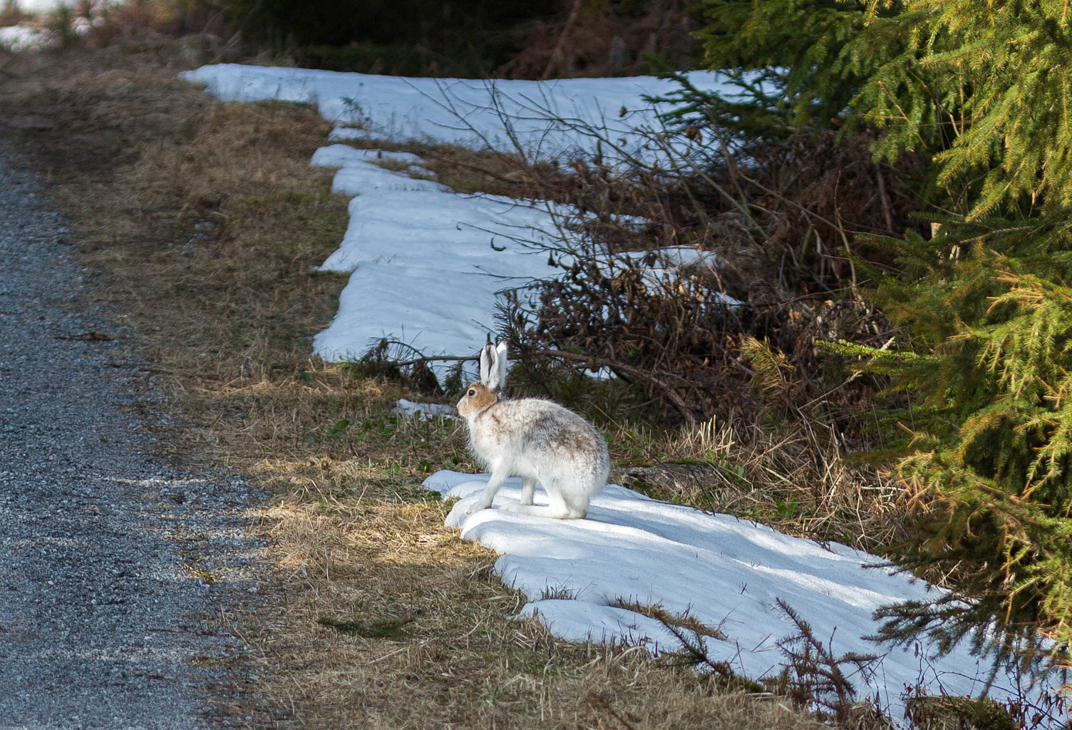 Valokuvaaja: Irma Kortekallio