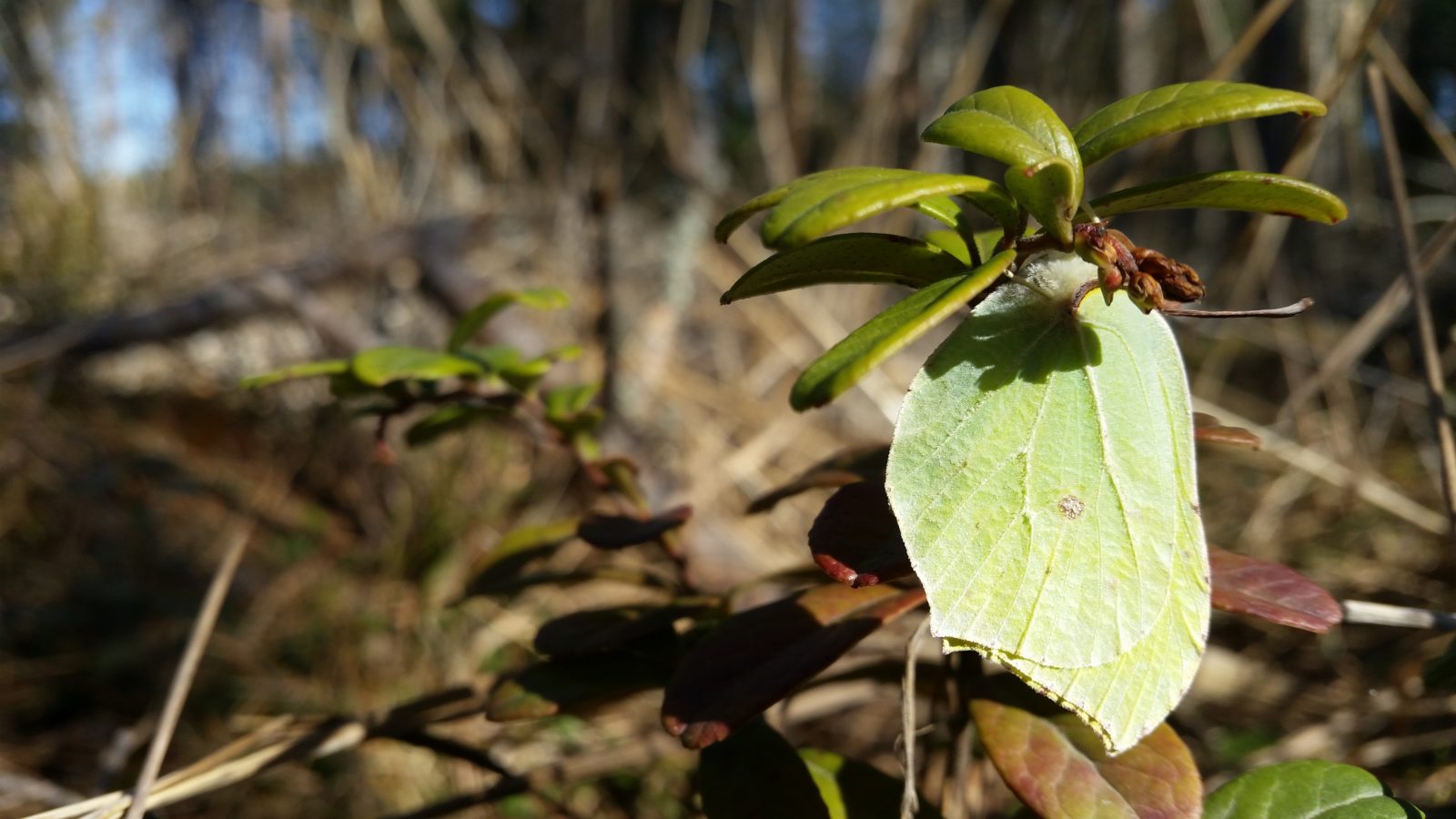 Valokuvaaja: Tuulikki Piikkilä