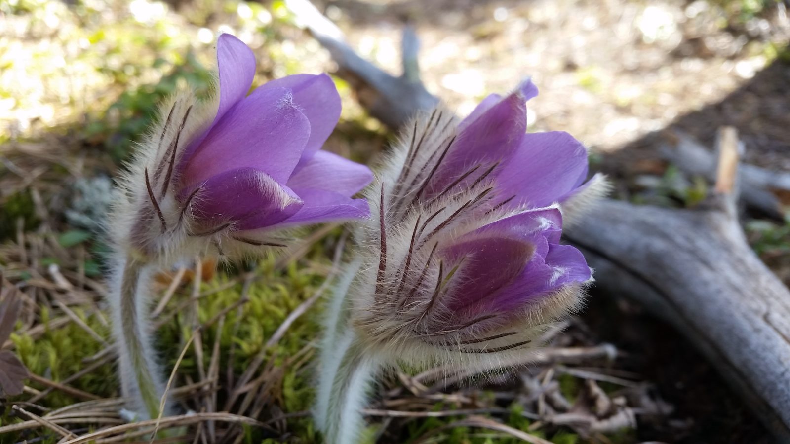 Valokuvaaja: Tuulikki Piikkilä
