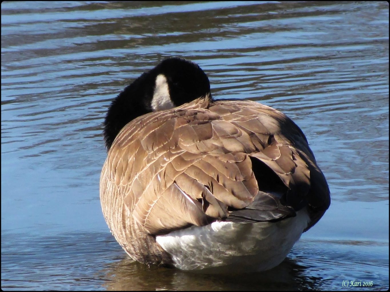 Valokuvaaja: Kari Saarinen