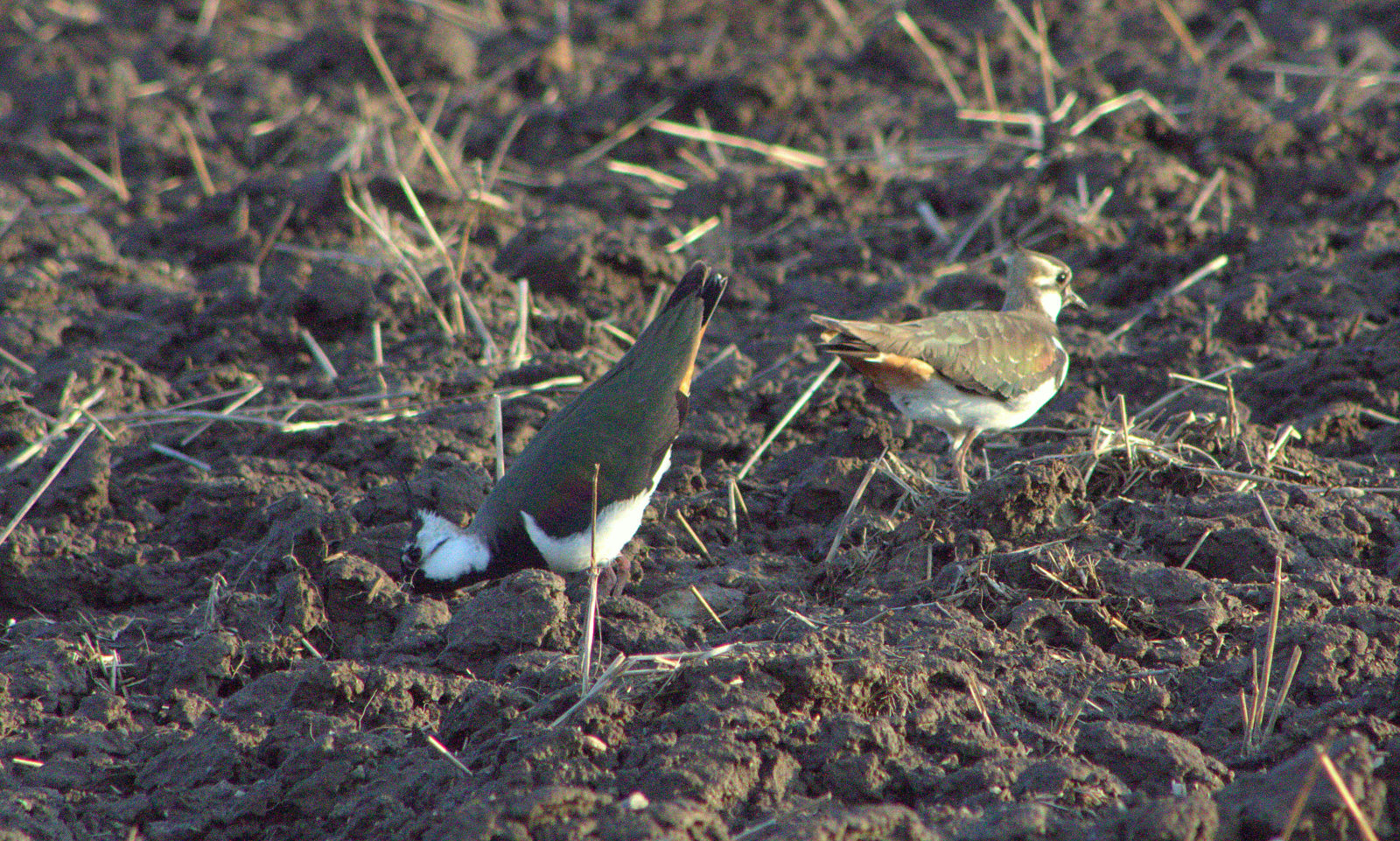 Valokuvaaja: tapio keinonen