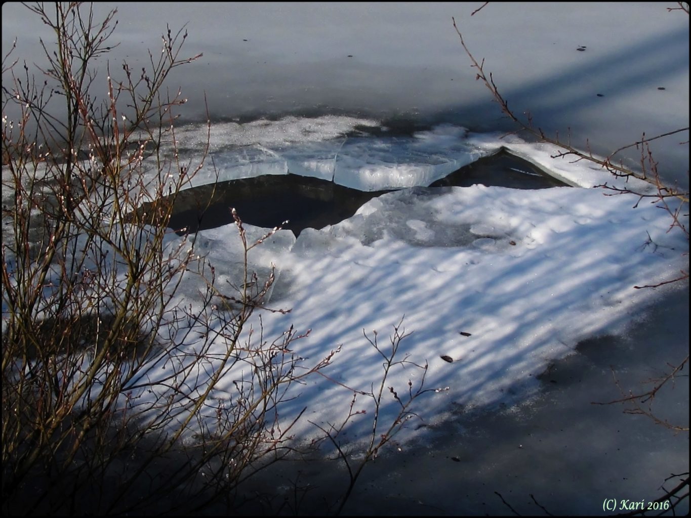 Valokuvaaja: Kari Saarinen