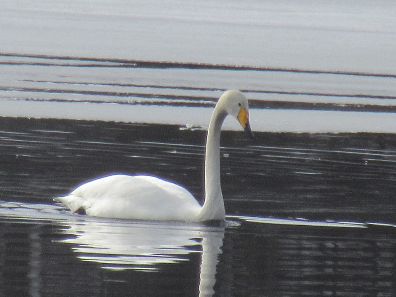 Valokuvaaja: Hanna Ronkainen