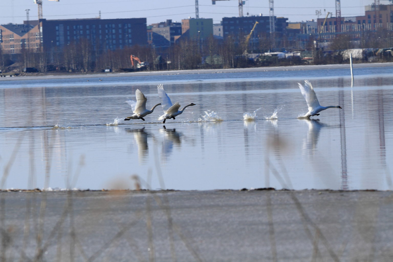 Valokuvaaja: Ilkka Rönkä