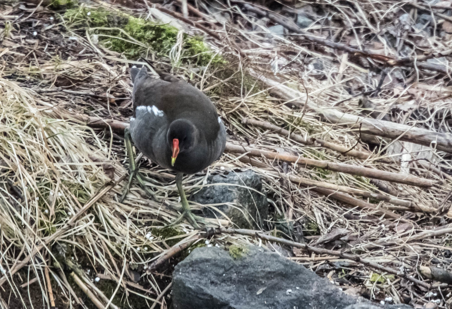 Valokuvaaja: Markku Salonen
