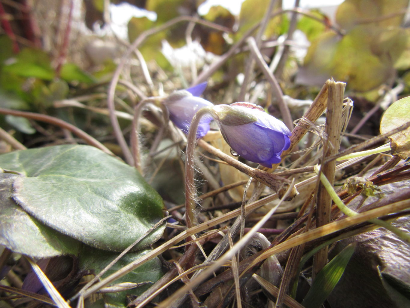 Valokuvaaja: Hanna Ronkainen