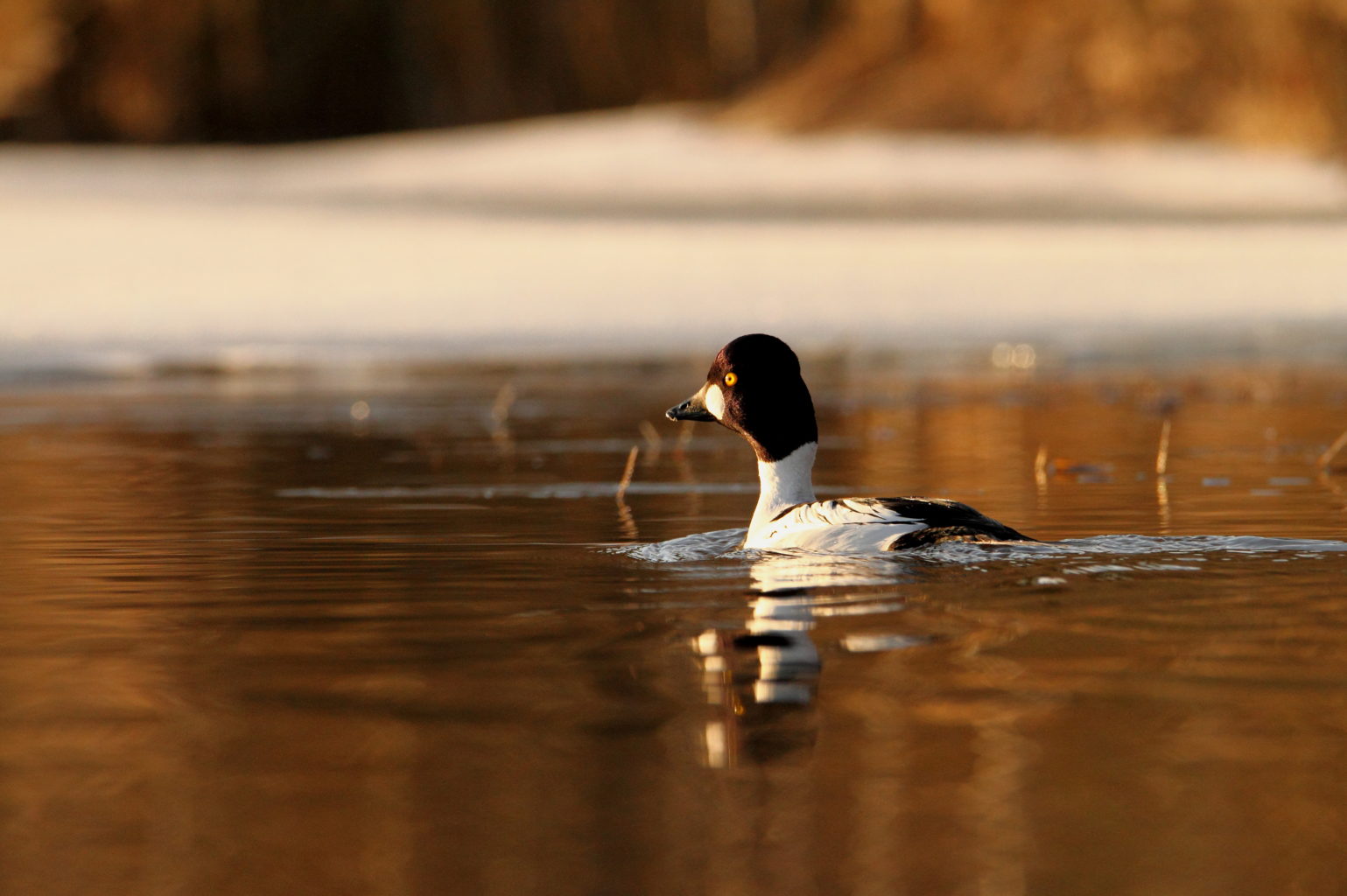Valokuvaaja: Lasse Kokko