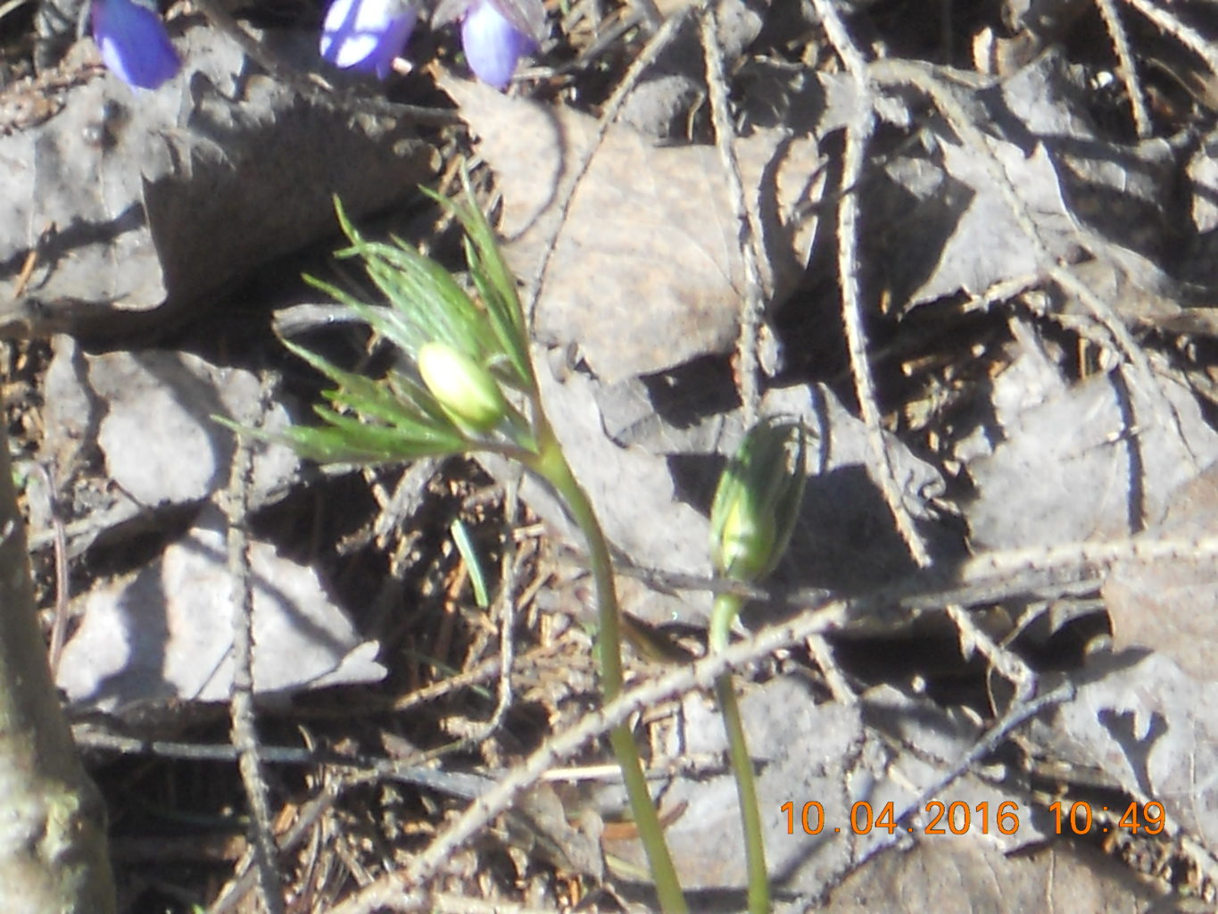 Valokuvaaja: Tiina Arlin