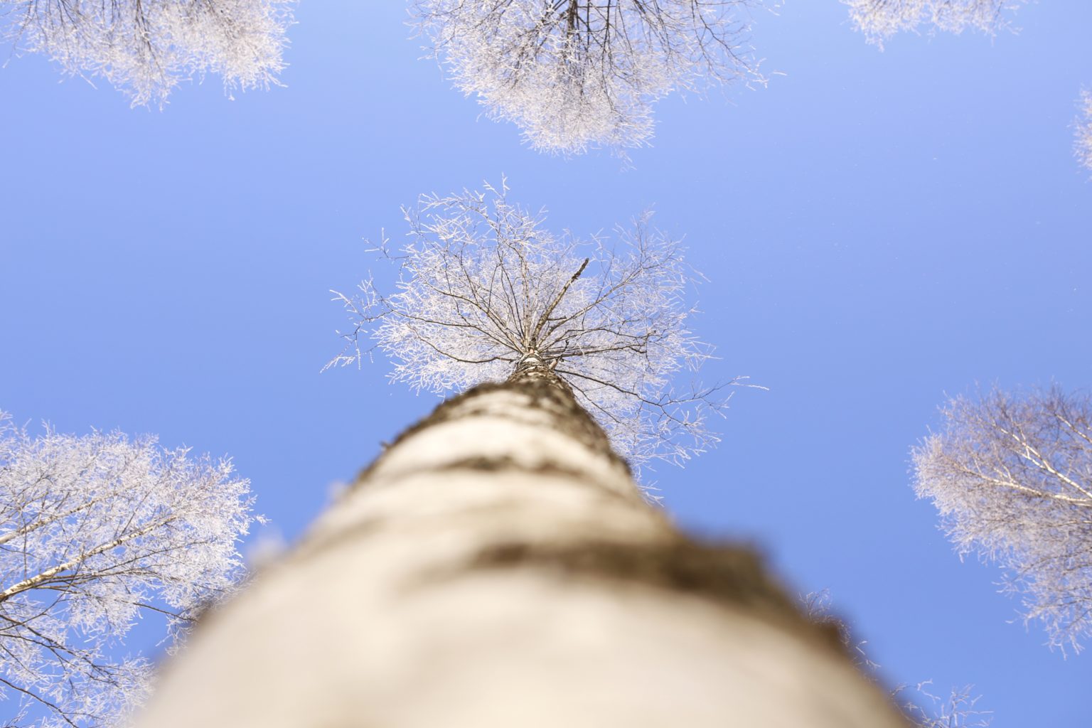 Valokuvaaja: Anne Moilanen