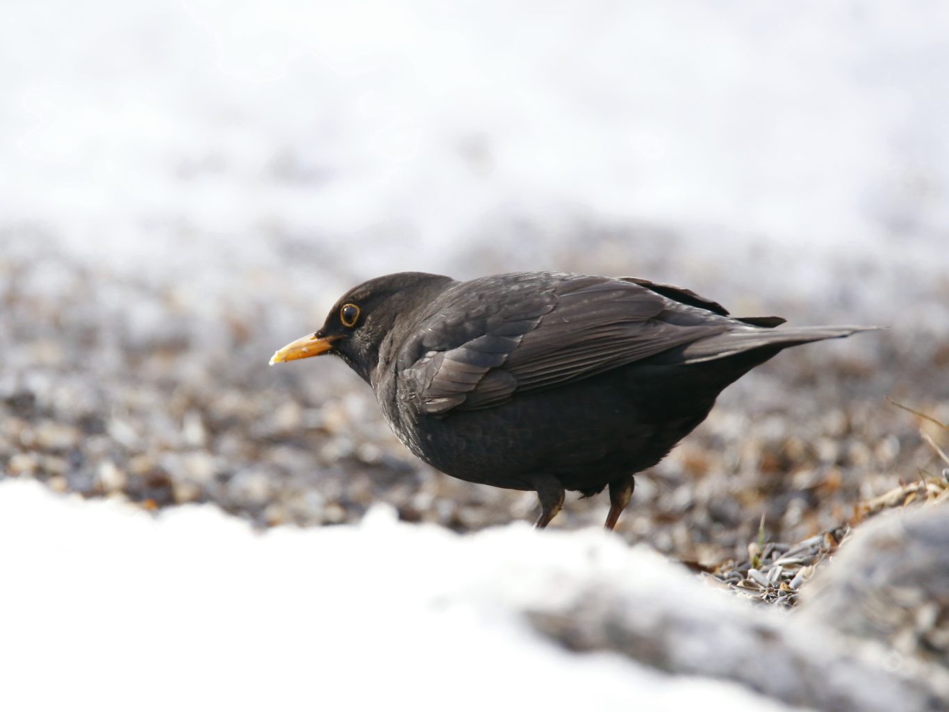 Valokuvaaja: Anne Moilanen