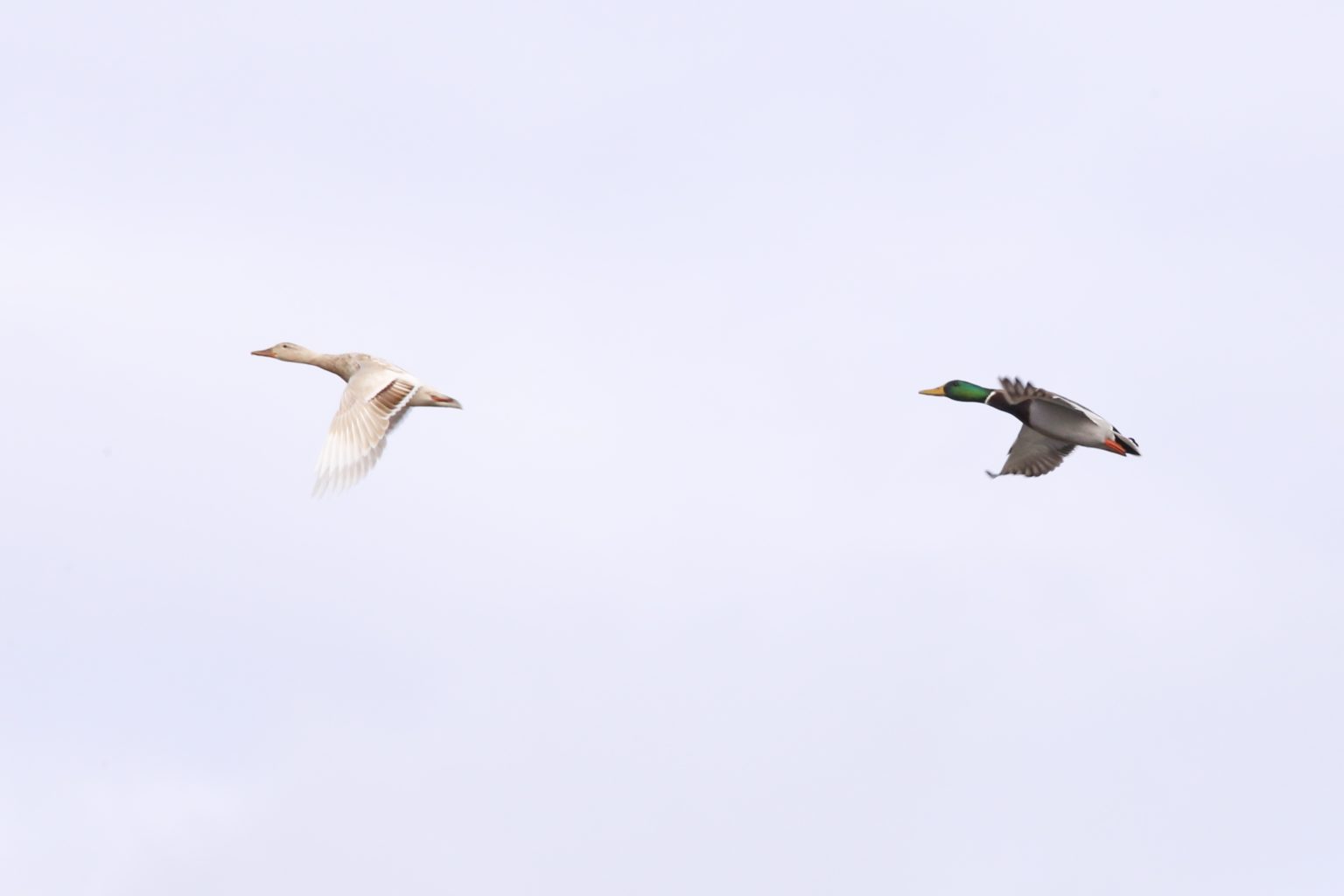 Valokuvaaja: Anne Moilanen