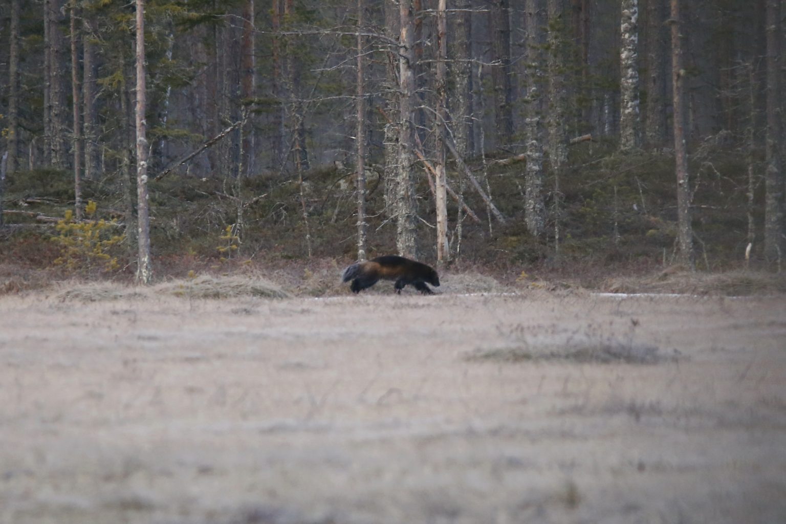 Valokuvaaja: Anne Moilanen Valokuvaaja: Anne Moilanen