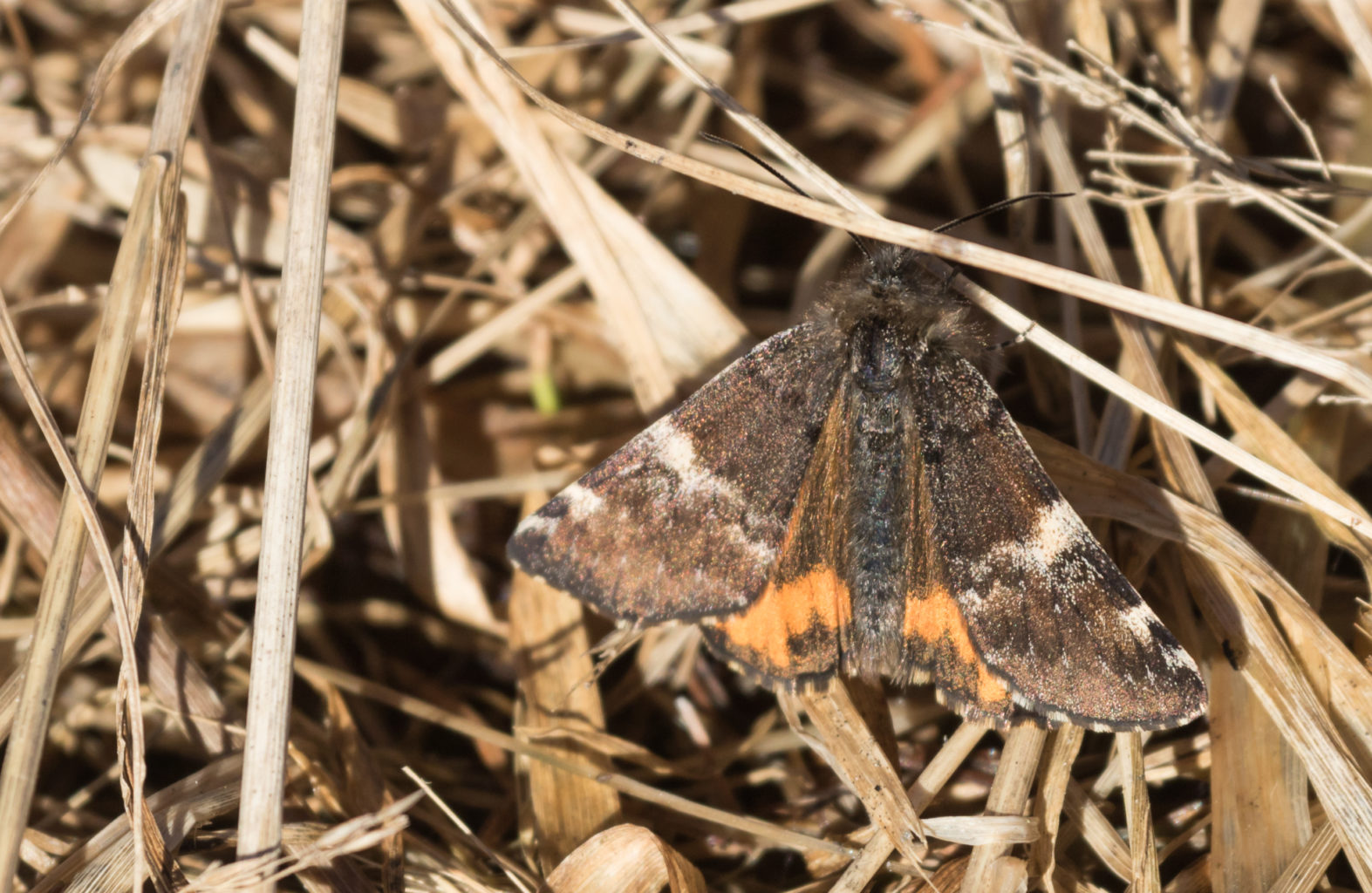 Valokuvaaja: Susanna Hietanen