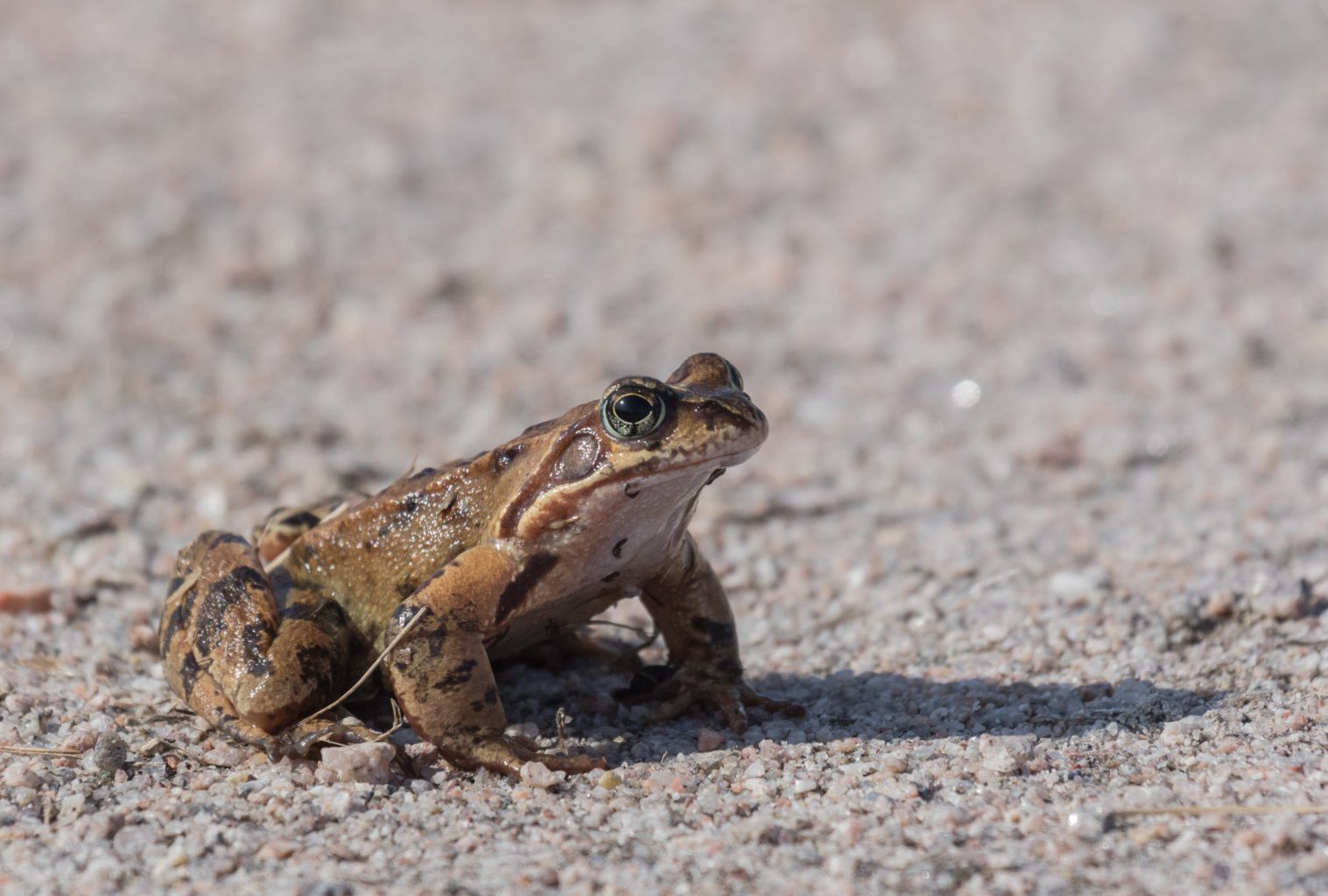 Valokuvaaja: Susanna Hietanen Valokuvaaja: Susanna Hietanen