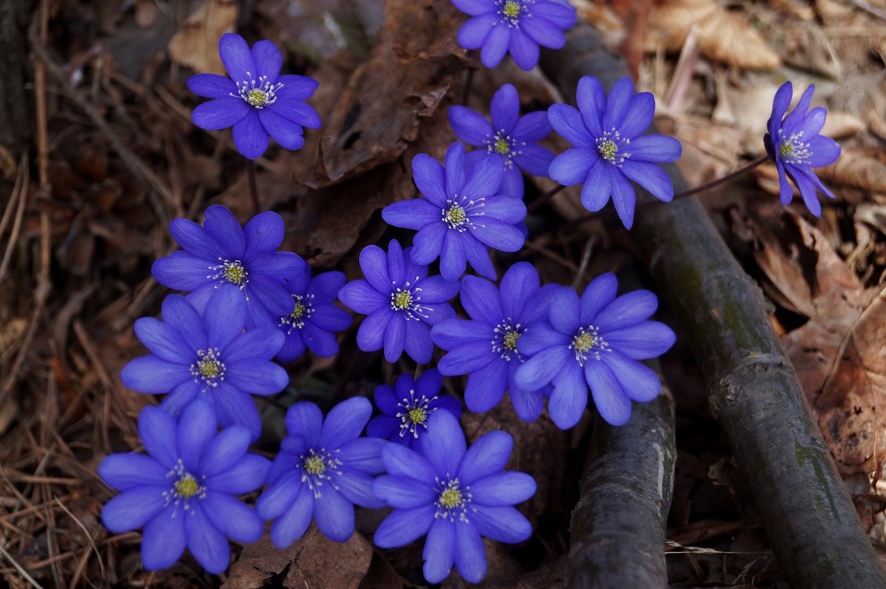 Valokuvaaja: Maarit Siitonen