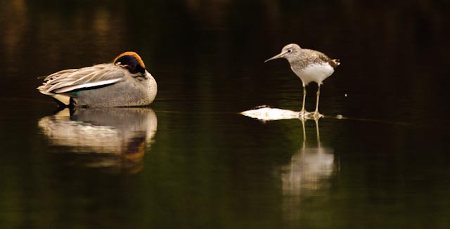 Valokuvaaja: Kaarlo Saarikoski
