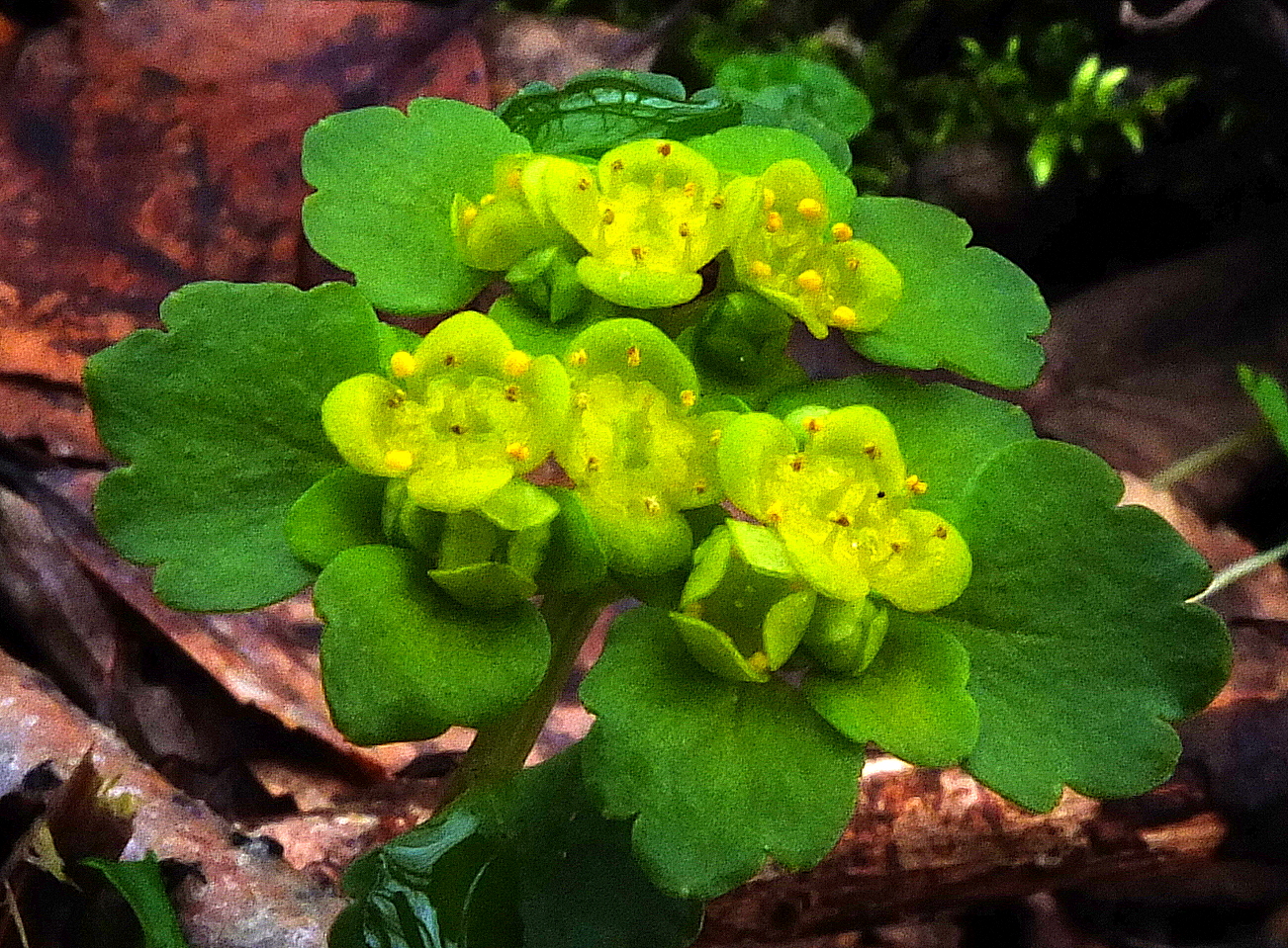 Valokuvaaja: Hannu Rasiranta