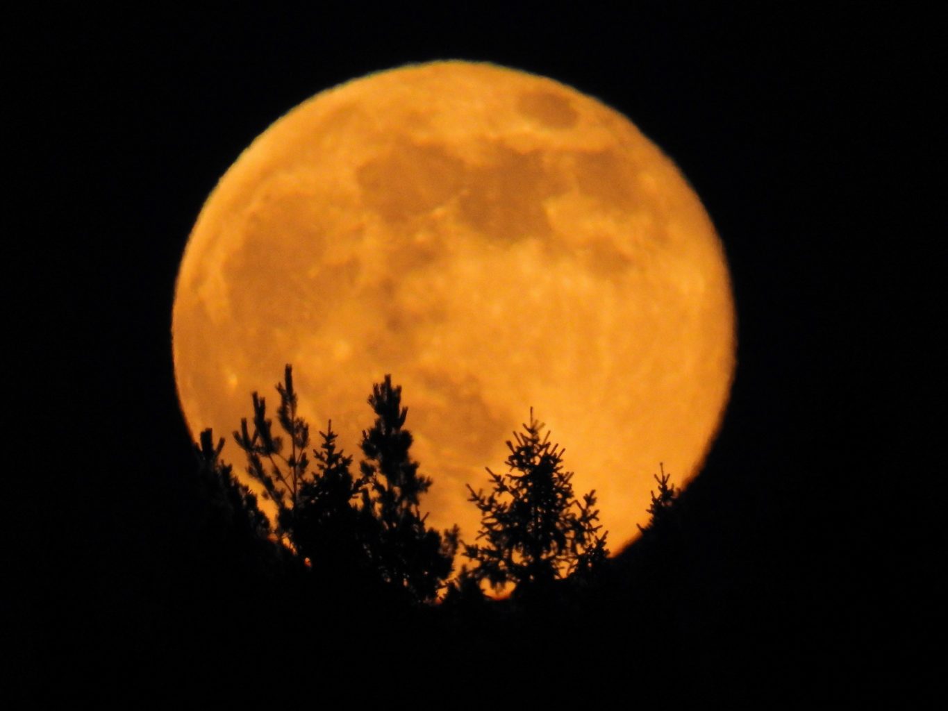 Valokuvaaja: Marja-Liisa  Paavola