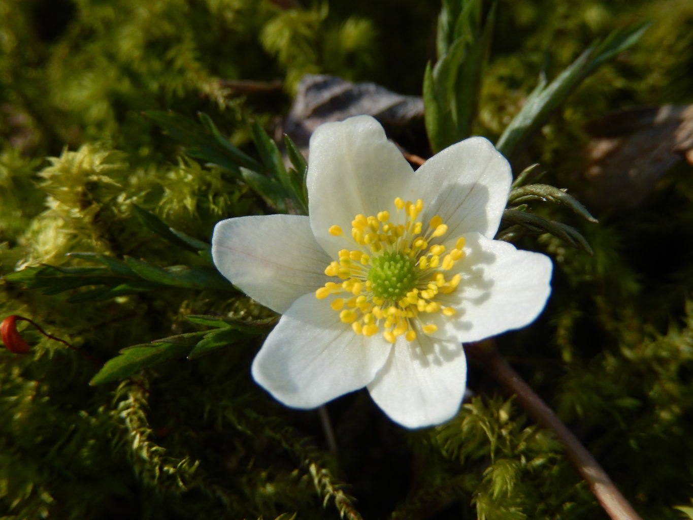 Valokuvaaja: Riitta Marjamäki