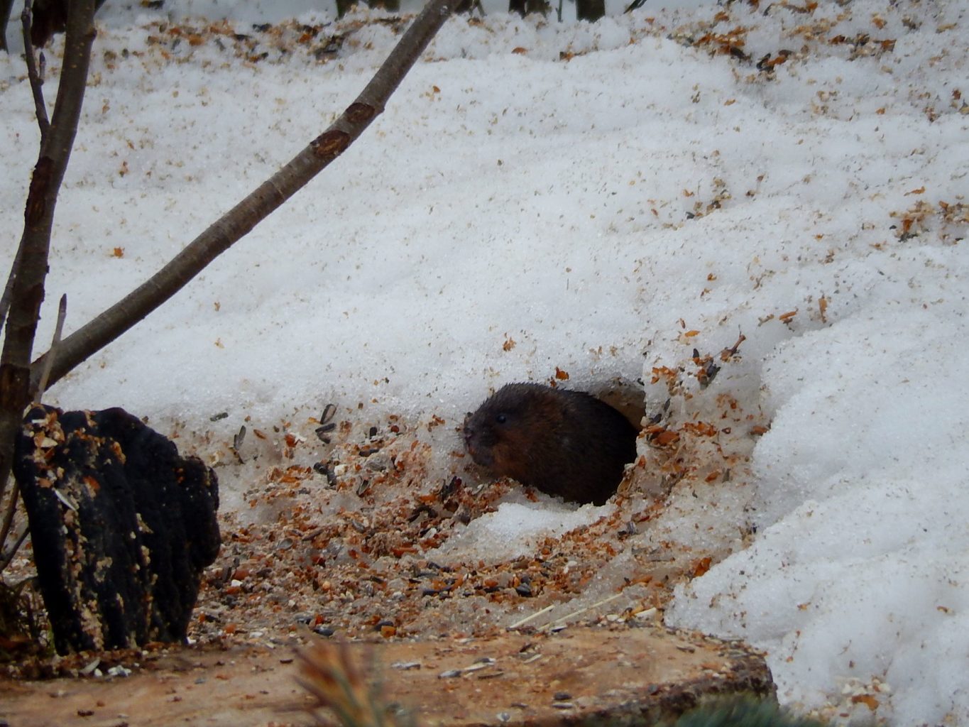 Valokuvaaja: Pirkko Siukonen