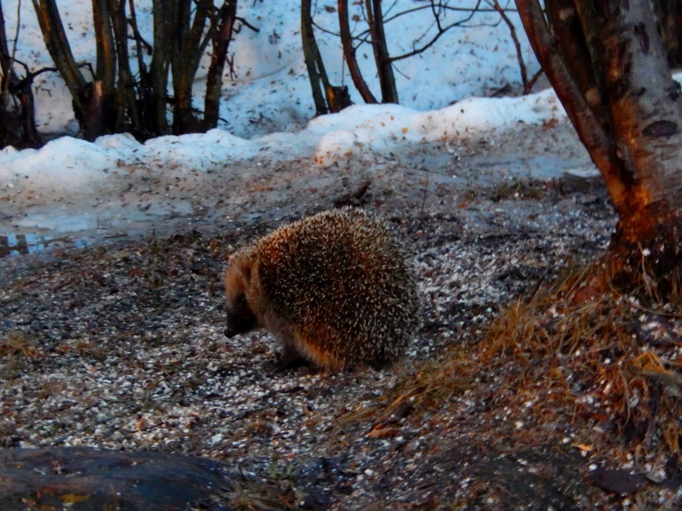 Valokuvaaja: Pirkko Siukonen