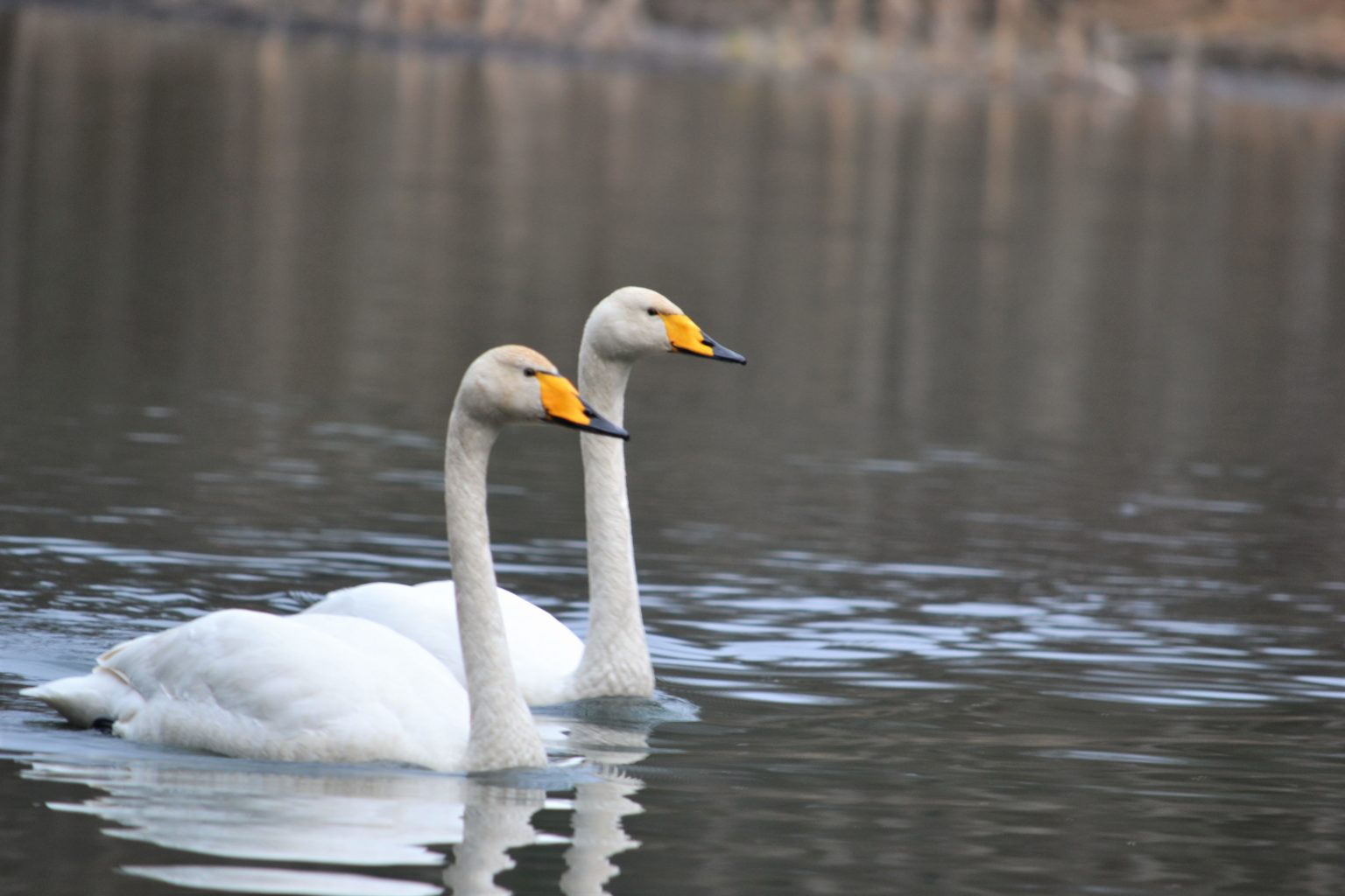 Valokuvaaja: Leena Latvala