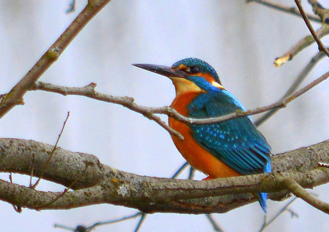 Valokuvaaja: Leena Silvola Valokuvaaja: Leena Silvola