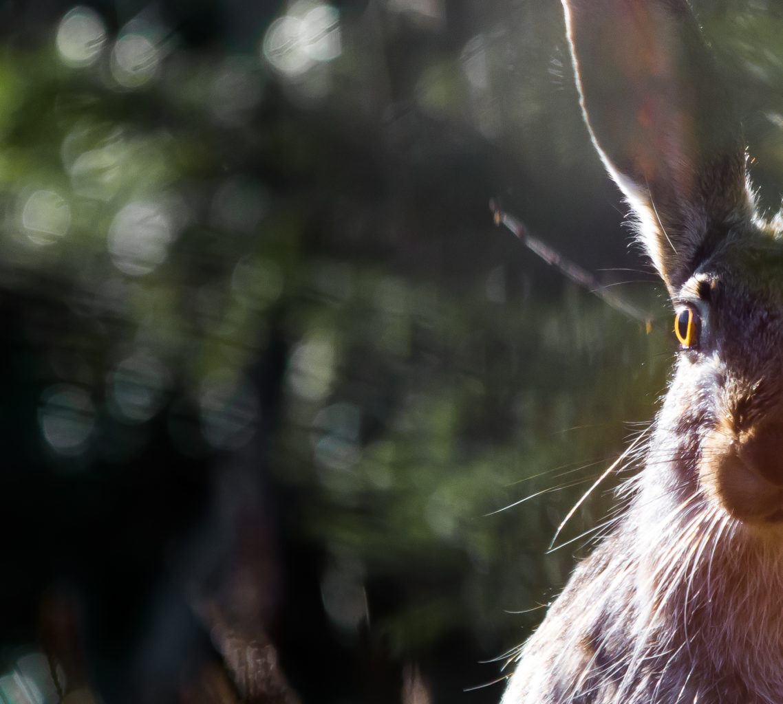 Valokuvaaja: Jutta Kirkkala