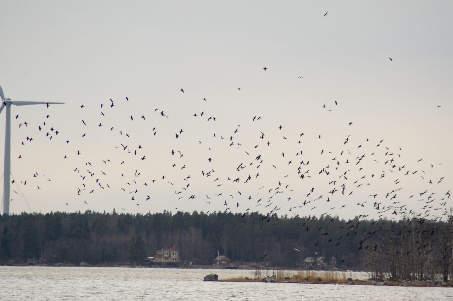Valokuvaaja: Sirkka Perttu