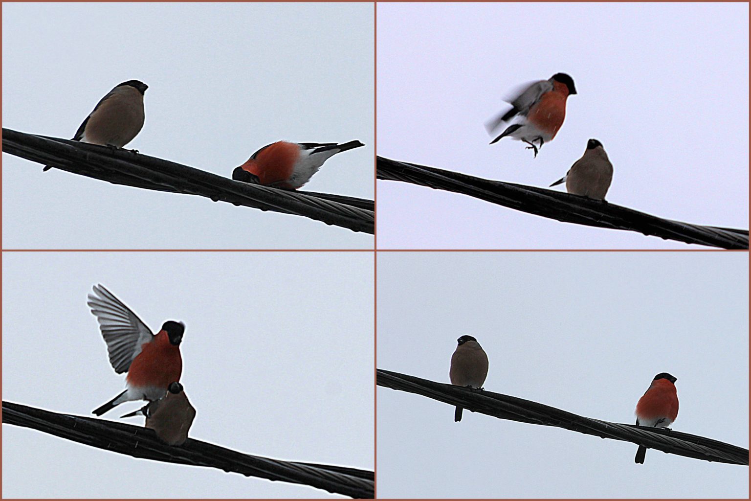 Valokuvaaja: Irja Lehtinen