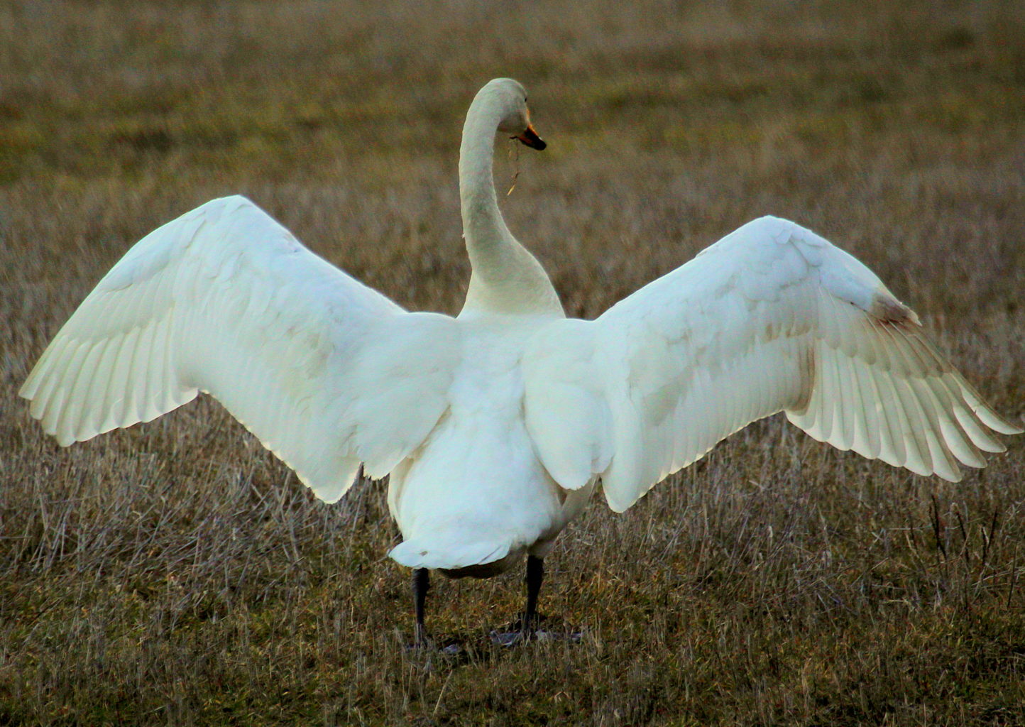 Valokuvaaja: Sirpa Jyske