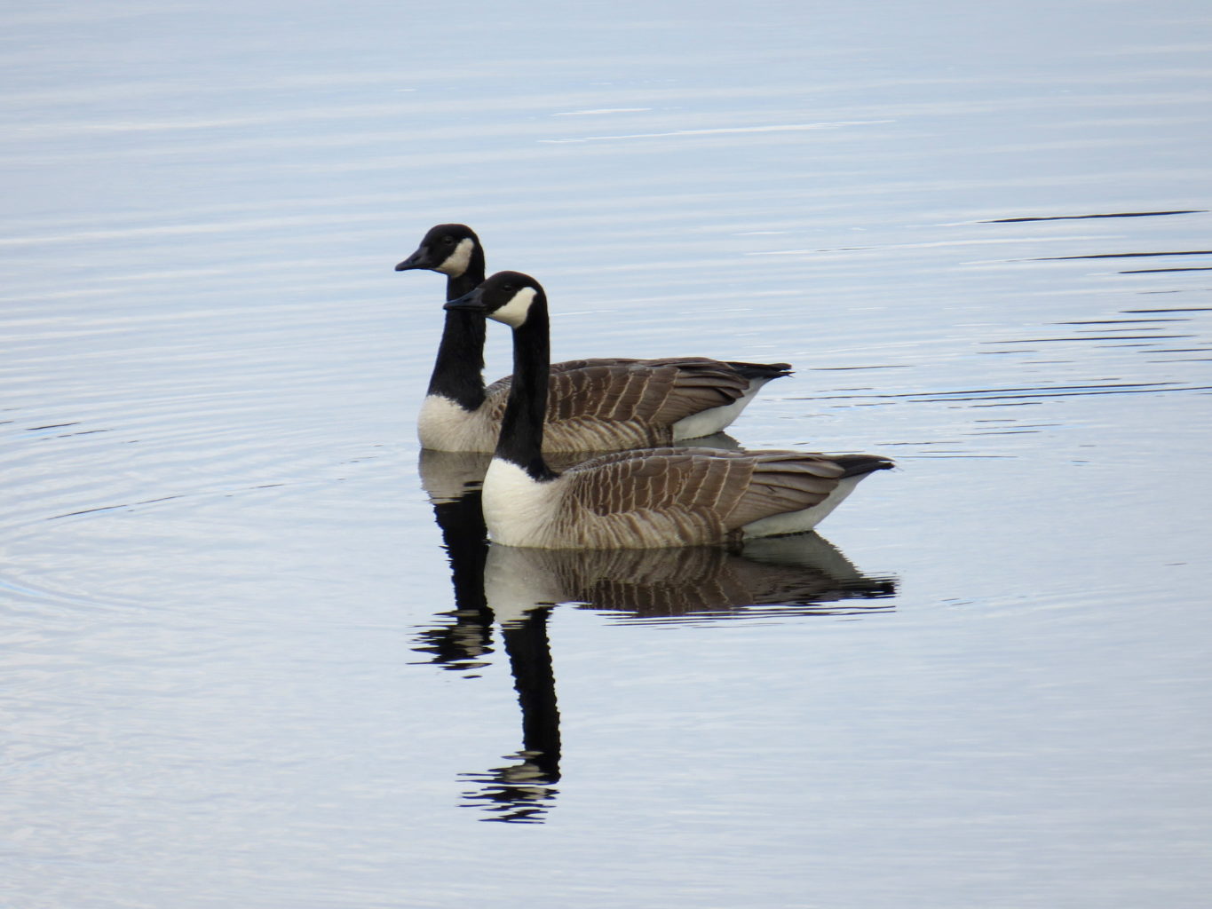 Valokuvaaja: Jaana Talvinen