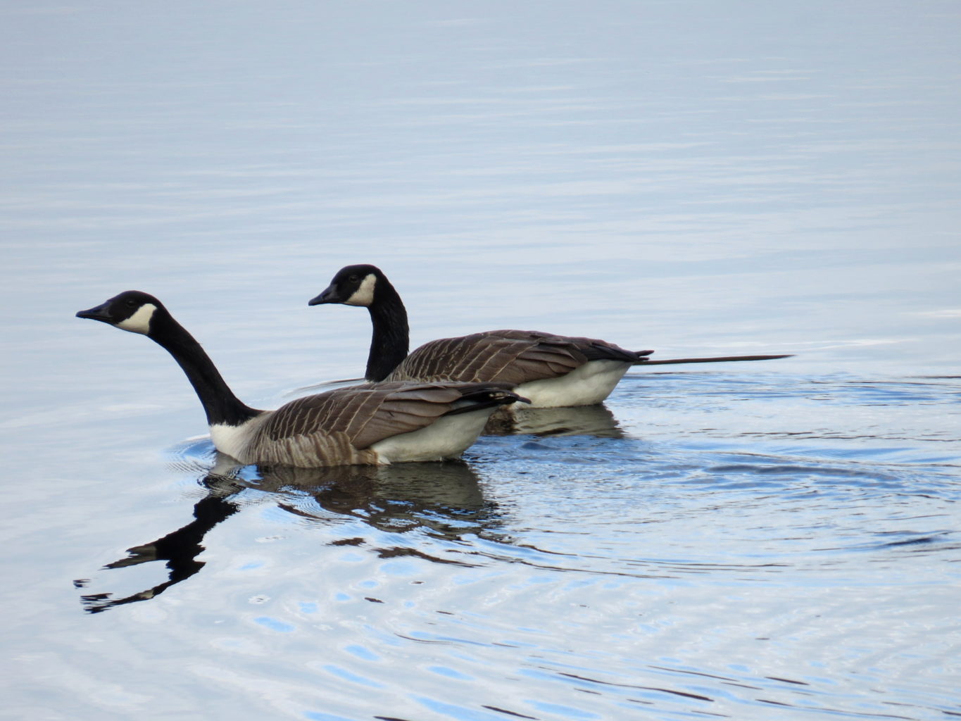Valokuvaaja: Jaana Talvinen