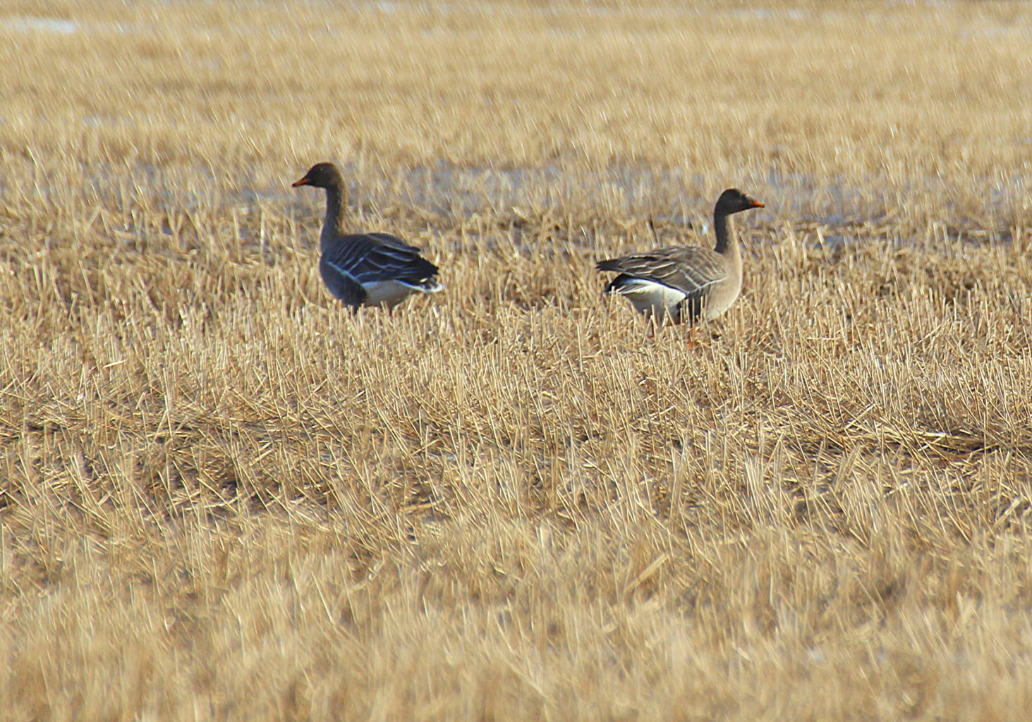 Valokuvaaja: Sirpa Jyske