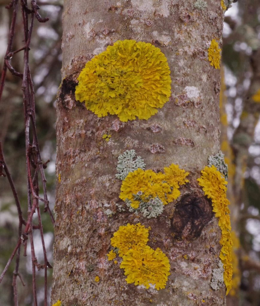 Valokuvaaja: Tuula Makkonen