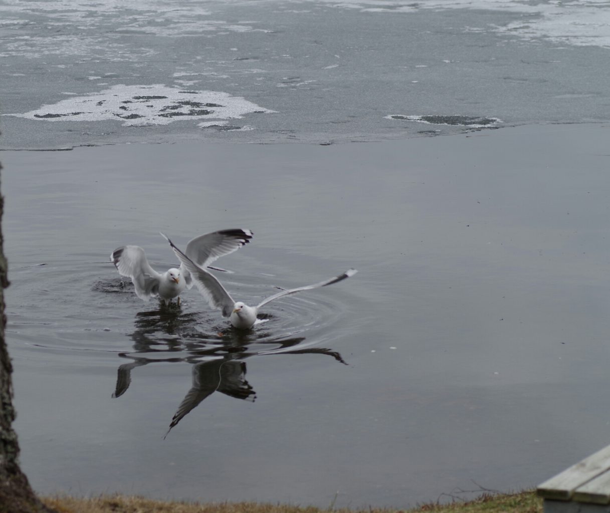 Valokuvaaja: Tuula Makkonen